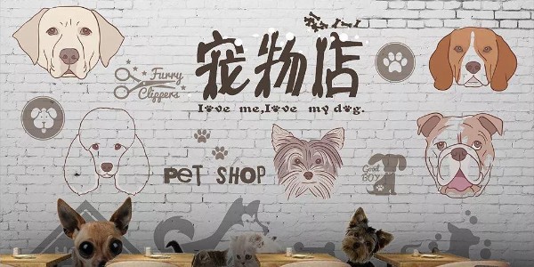 寵物店新風(fēng)安裝安裝